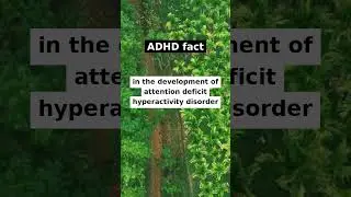 🤔 Wondering if ADHD is genetic❓
