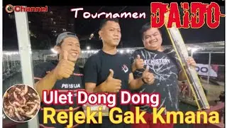 UMPAN LANGKA‼️TOURNAMEN DAIDO, REJEKI GAK KEMANA