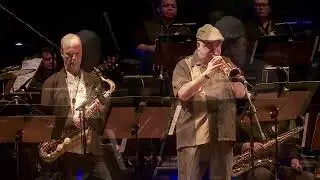 Some Skunk Funk (Live)