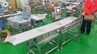 CQ XP400 flap checkweigher #manufacturing #machine #foodindustry #weightchecker #factory