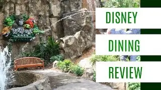 Disney Animal Kingdom RAINFOREST CAFE lunch and Review