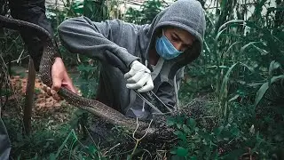 Save snakes to save nature | Nepali Times