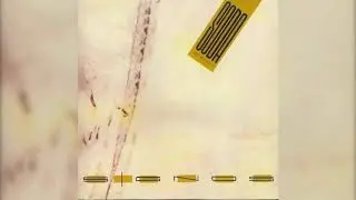 Prófugos - Drumless