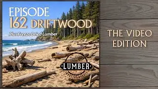 162 - Driftwood