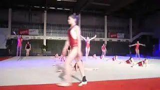 Dans en Turnshow 20150307 009