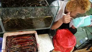 China's decision to offer tax rebates for export of exotic animals is 'puzzling'