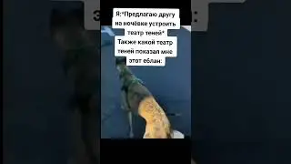 театр теней #мем #тикток #приколы #собака #dog