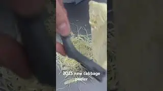 #juliennepeeler #kitchengadget #vegetableslicer 2025 new cabbage peeler￼