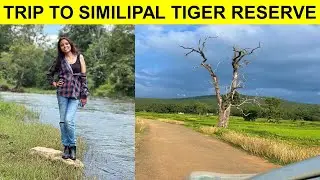 TRIP TO SIMILIPAL TIGER RESERVE