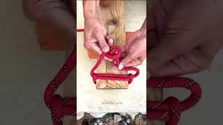 Knots Rope Trick DIY at Home, Home hacks ideas, #shortvideo #shorts #viral #diy #youtubeshorts