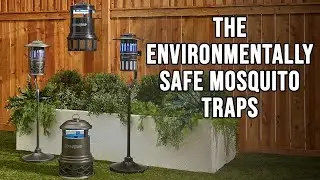 The Environmentally Safe Mosquito Traps