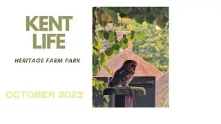 Kent Life, Heritage Farm Park in October 2023