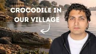 Crocodile in Village Lake of Rajasthan | Shocking Wildlife Encounter