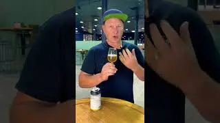 POV: You&rsquo;re a judge in the Royal Queensland Beer Awards #shorts #beer