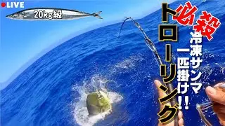 【シイラ 20㎏級】サンマ１匹掛けトローリング釣りをすると！?　#シイラ　#mahimahi