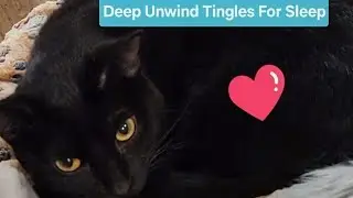 Playful Black Cat Paw & Tail ASMR 🐾 | Deep Unwind Tingles for Sleep