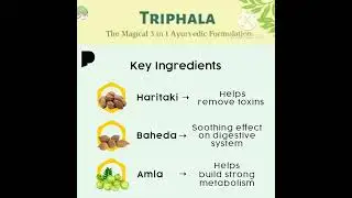 ingredients of Triphala