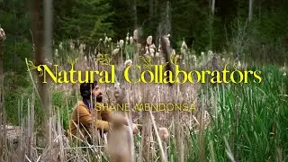 With synthesizers and sensors, a musician turns the pulse of the life of plants into beautiful music