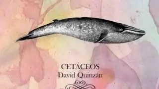 David Quinz&aacute;n - Gatos