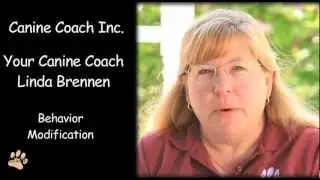 Canine Coach Inc.