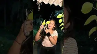 Nursery me chori ya dakaiti? Decide aap kijiye🌿✨Free plants and fruits🌱 #plants #gardening #garden