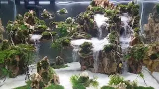 Hồ thủy sinh đá tiger bay, thác cát. Hồ siêu trong 60x40x40 mới hoàn thiện setup. 0932675175