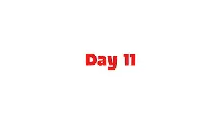 Day 11 | What I Was Wrong About When I Started | 365 Days 365 Videos