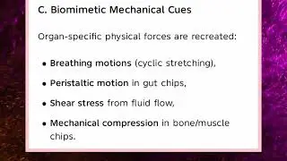 24MM731 UNIT 2 Fundamental of organ on chips as in vitro Microphysyiological systems 
