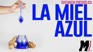 MIEL AZUL, LA MIEL QUE PUEDE CAMBIAR LA REALIDAD