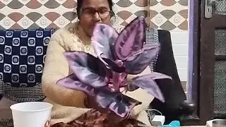 How to make realistic plastic plant, easy plastic plant ☘️ plastic plant DIY | plastic plant making