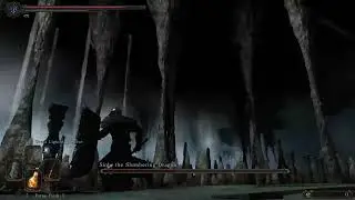 DS2LE-PT Sinh Boss Fight Test.