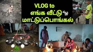 💟♥️2026|VLOG TO எங்க வீட்டு மாட்டுப்பொங்கல்🐄|கிராமத்து பொங்கல்| Banupriya Nagaraj