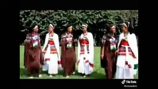 sirbaa Arsii fi balee waraa sikkoo fi mandooti ❤️❤️🥰🌳💚❤️