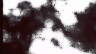 Ashes