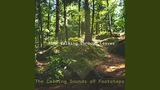 The Calming Sounds of Footsteps