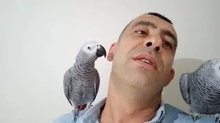 Jako Papağanlarım Beni Rehin Aldı!