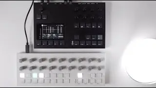 Torso T-1 + S-4 @torsoelectronics
