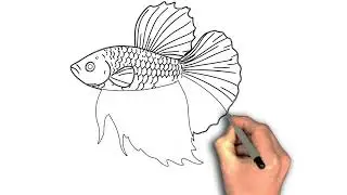 &ldquo;Flowing Fins: How to Draw a Betta Fish&rdquo; betta fish outline sketches