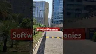Software company Noida || IT filed 🖥️🏢 #shortfeed #ytshorts #shorts #viral  #softwareengineer #yt