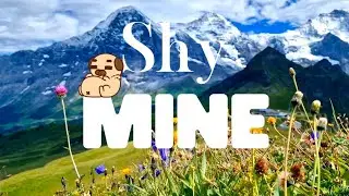 Shy - Mine