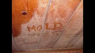 dust in the basement