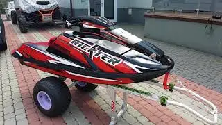 Rickter XFR Fullcarbon 2012  DASA 850 engine