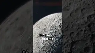 How did Apollo 11 get off the moon?  #cosmology #science #spacescience #marsexploration