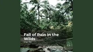 Vast Jungle Downpour