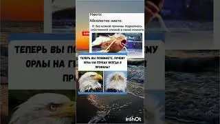 Слюняяяя🫠🫠🫠#юмор #смехпродлеваетжизнь #смешновидео #прикол #мем