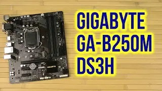 Распаковка Gigabyte GA-B250M-DS3H