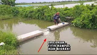 Edan.. Mancing ikan mas di bawah grojokan malah panen ikan ini