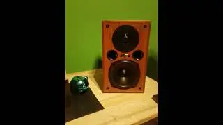 Gainclone in accoppiamento con le energy acoustic AE100