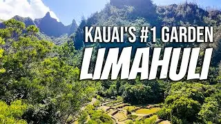 Limahuli Garden | Kauai&rsquo;s Secret Valley of Rare Hawaiian Plants