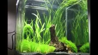 Nano Cube 30 Liter